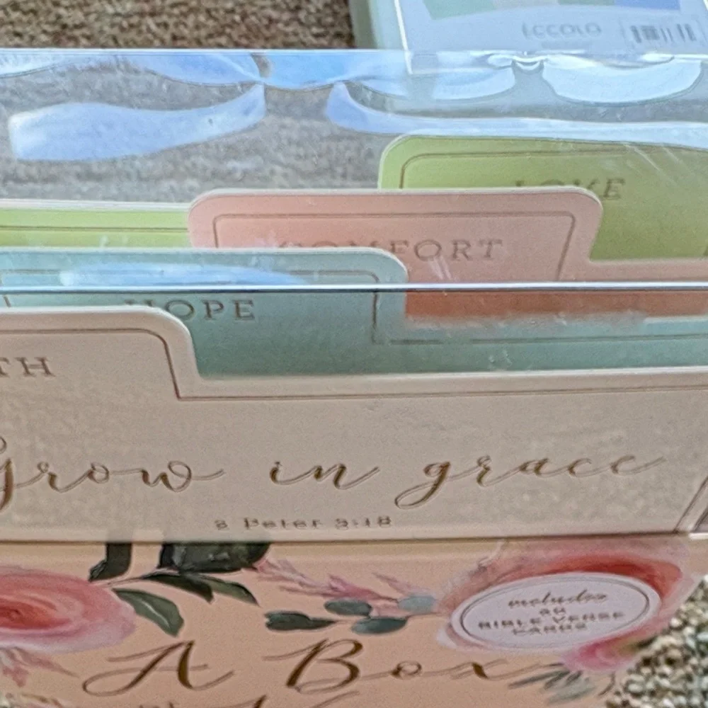 Eccolo A Box of Verse Scripture Cards - Pink and Gold